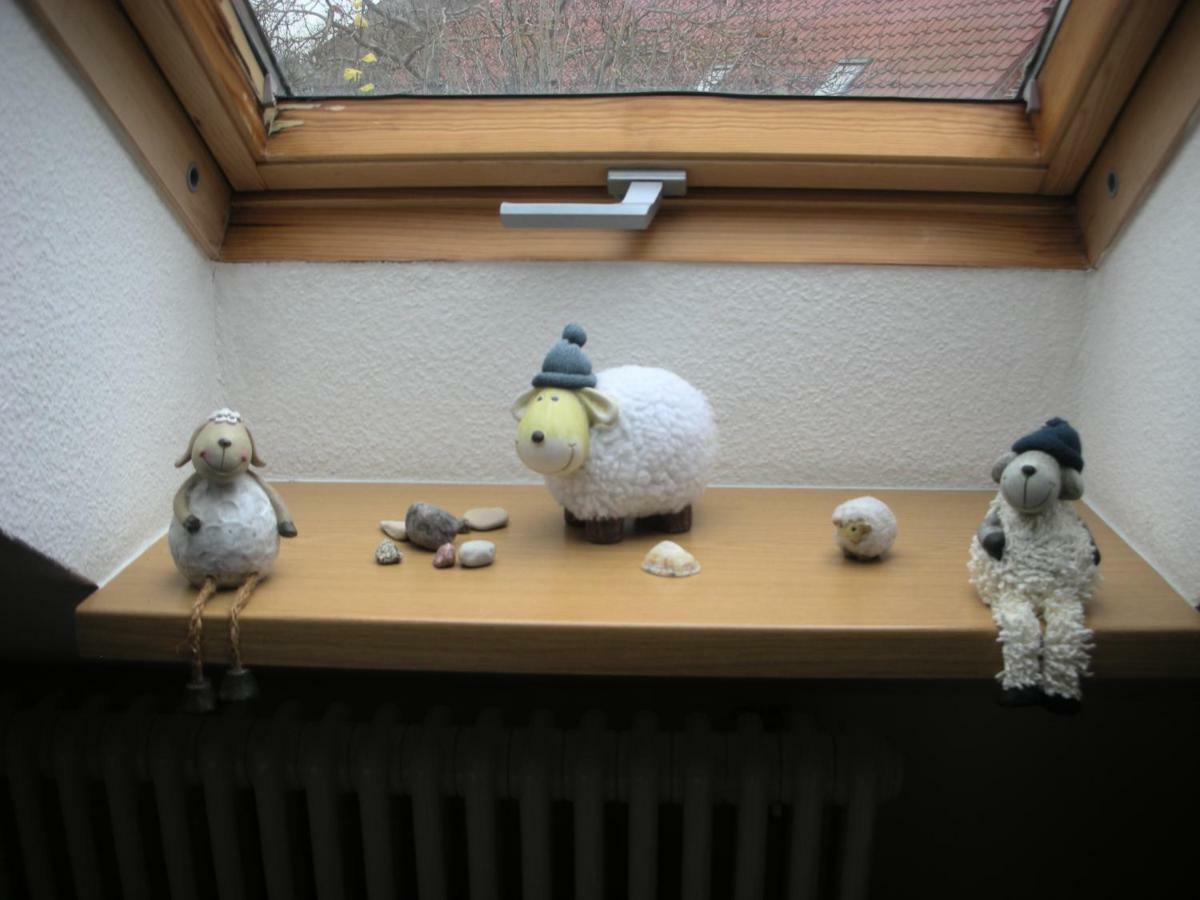 Apartment Seeadler Mit Balkon Dewichow Exteriér fotografie